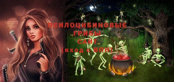 прущие грибы Домодедово
