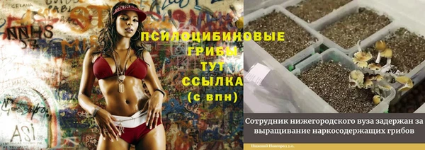 ешки Волоколамск