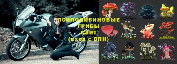 ешки Волоколамск